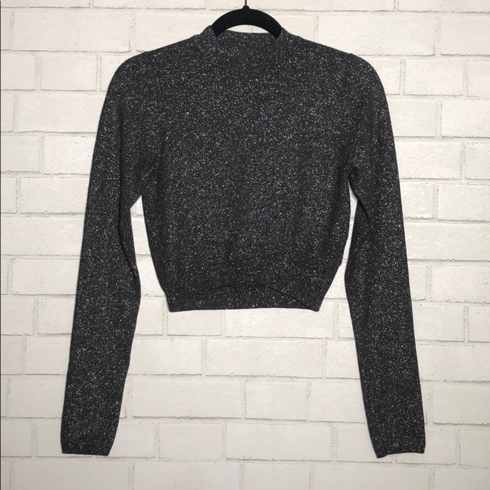 Express Sparkly Sweater Knit Crop Top